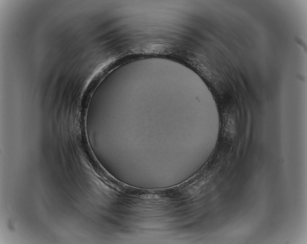 X0000097880392200804041619