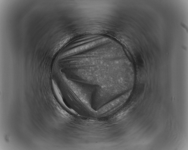 X0000097880393200804041618