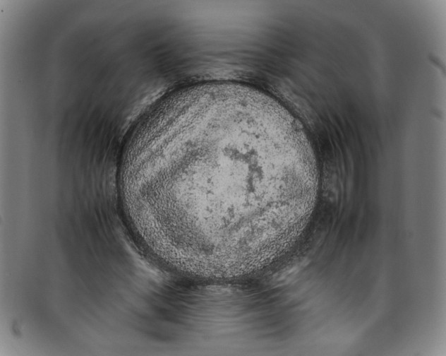 X0000097880394200804041618