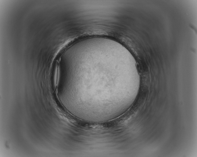 X0000097880395200804041618