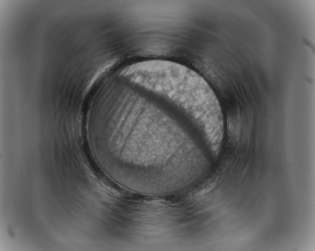 X0000097880396200804041618