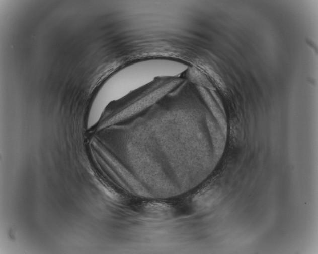 X0000097880397200804041618