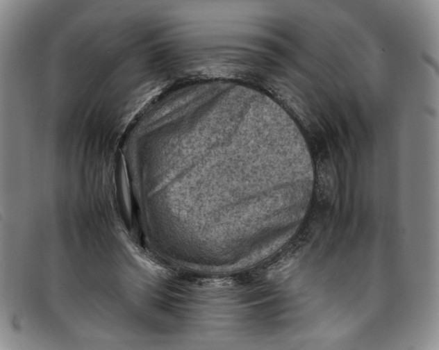 X0000097880398200804041618