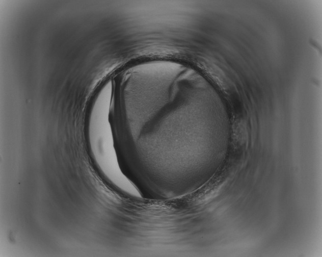 X0000097880399200804041618