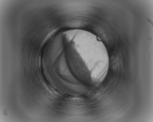 X0000097880400200804041618