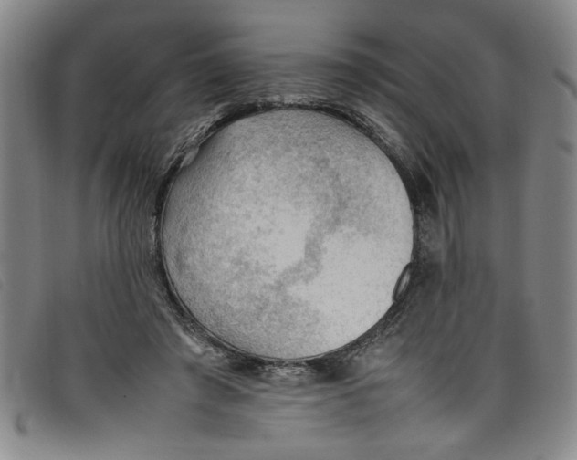 X0000097880401200804041618