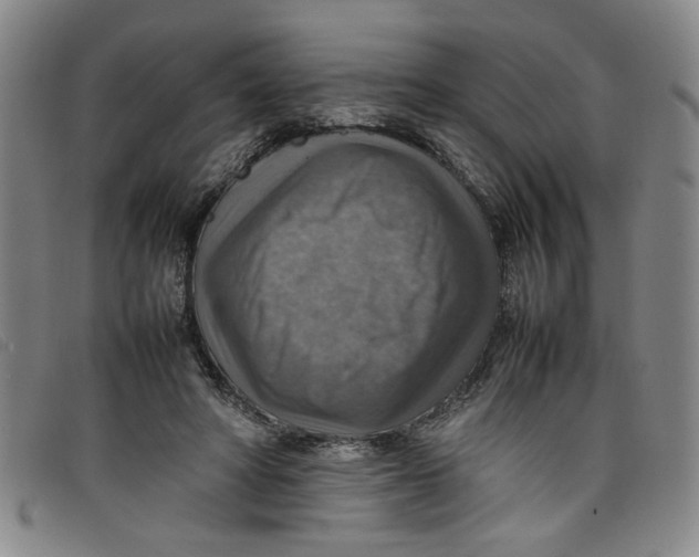 X0000097880402200804041618