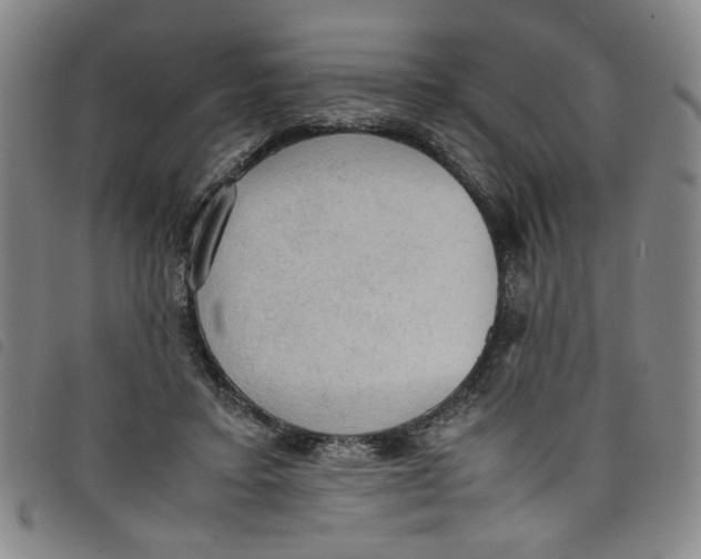 X0000097880403200804041618