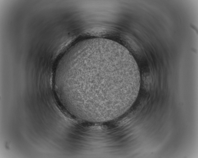 X0000097880404200804041618