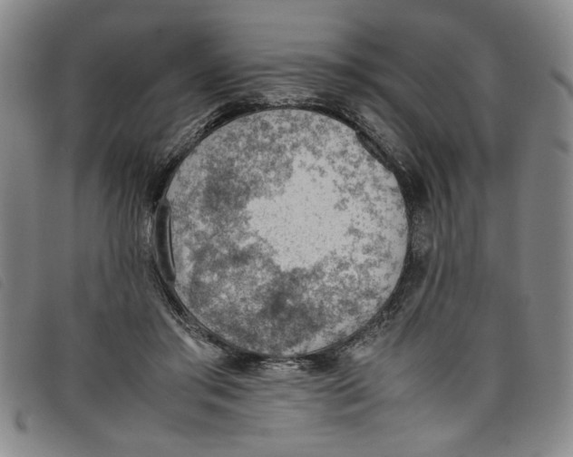 X0000097880405200804041618