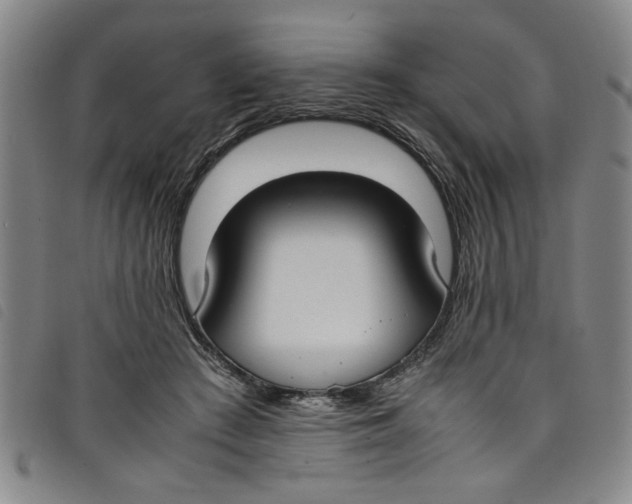 X0000097880409200804041618