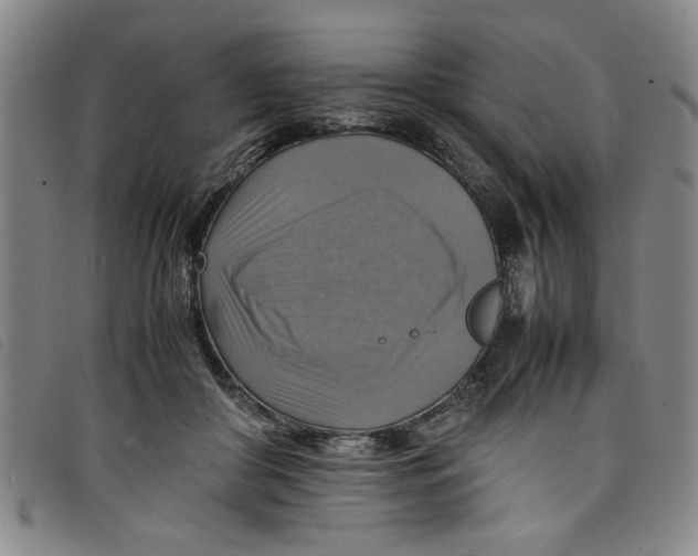 X0000097880410200804041618