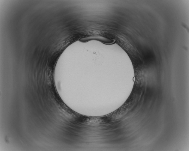 X0000097880414200804041618