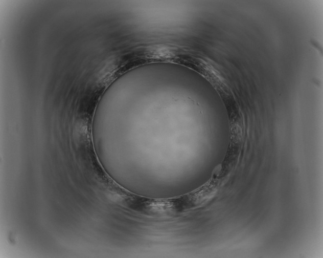 X0000097880415200804041618