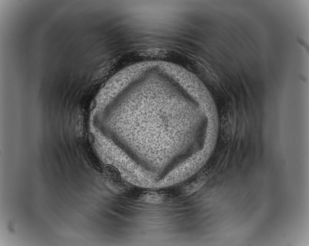 X0000097880416200804041618