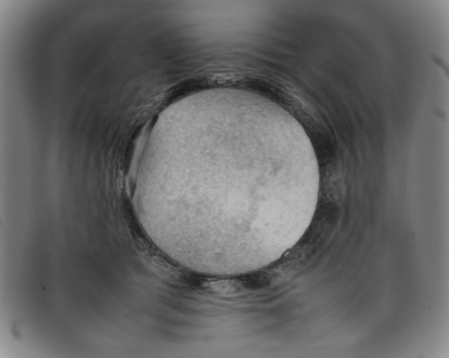 X0000097880417200804041618