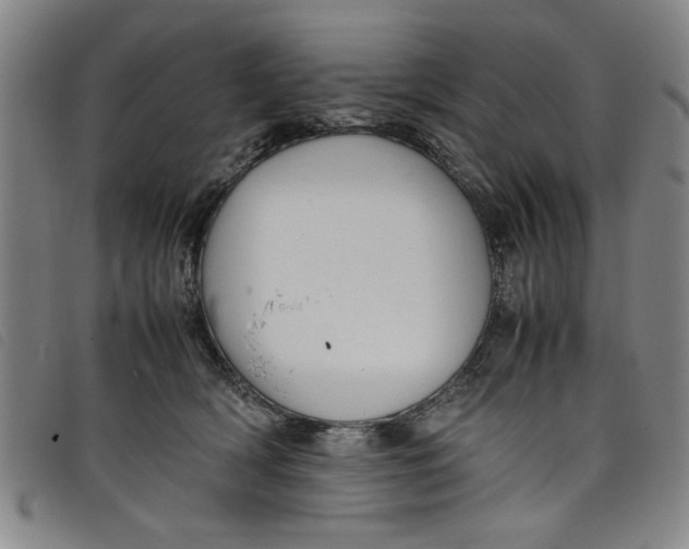 X0000097880418200804041618