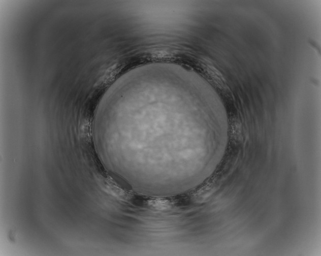 X0000097880419200804041618