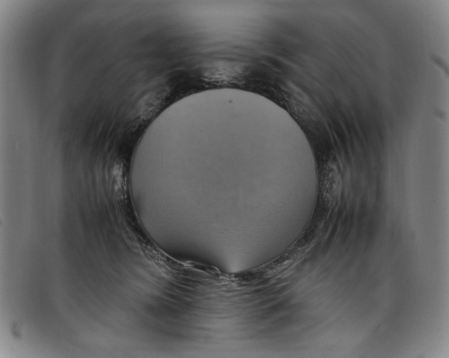 X0000097880420200804041618