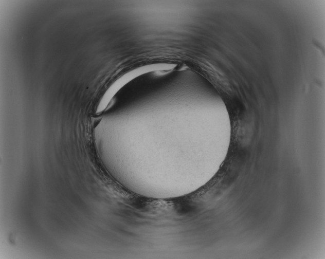 X0000097880421200804041618