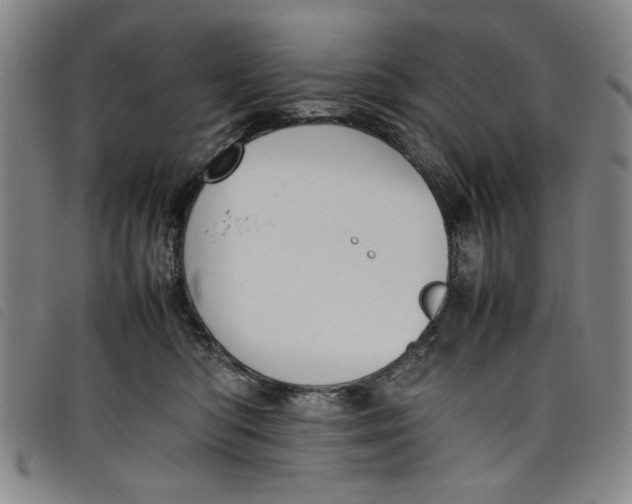 X0000097880422200804041618