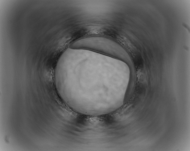 X0000097880423200804041618