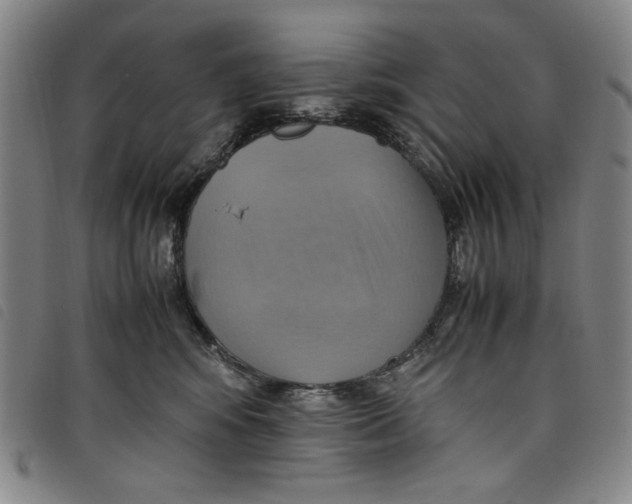 X0000097880424200804041618