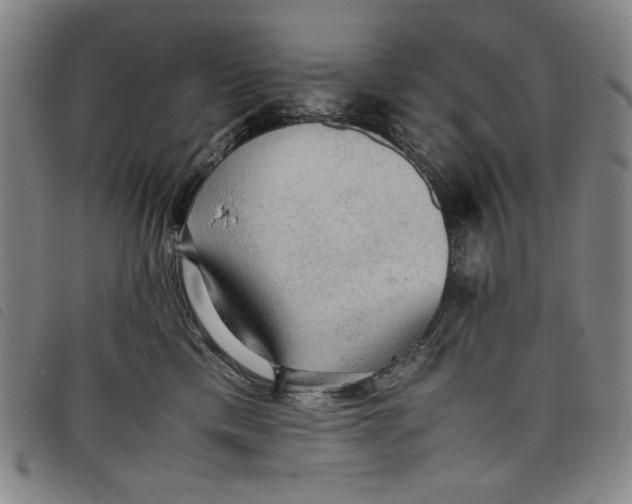 X0000097880425200804041618