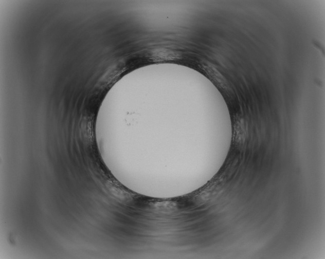 X0000097880426200804041618