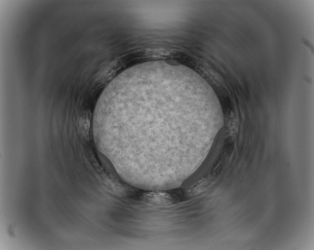 X0000097880427200804041618