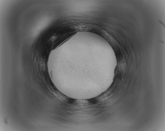 X0000097880429200804041618