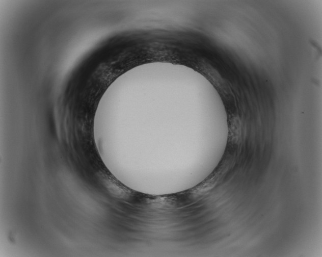 X0000097880430200804041618