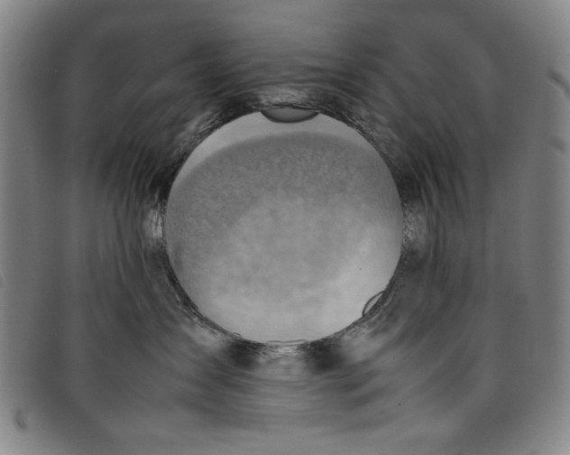 X0000097880431200804041618