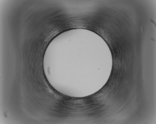 X0000097880433200804041617