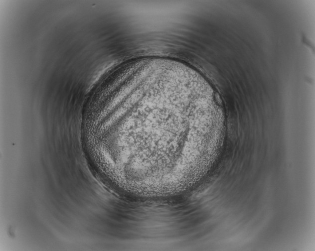 X0000097880434200804041617