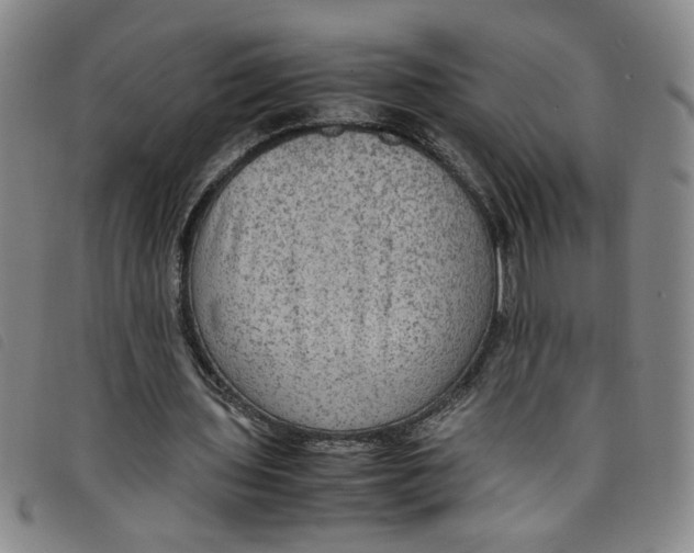 X0000097880435200804041617