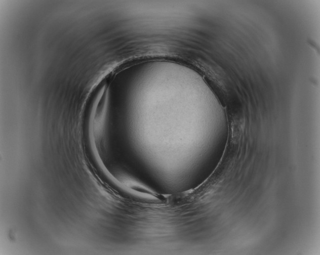 X0000097880436200804041617