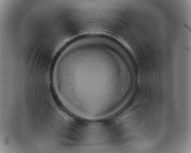 X0000097880438200804041617