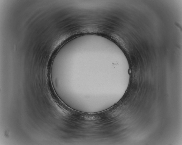 X0000097880439200804041617