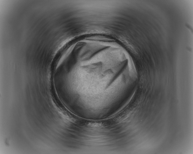 X0000097880440200804041617