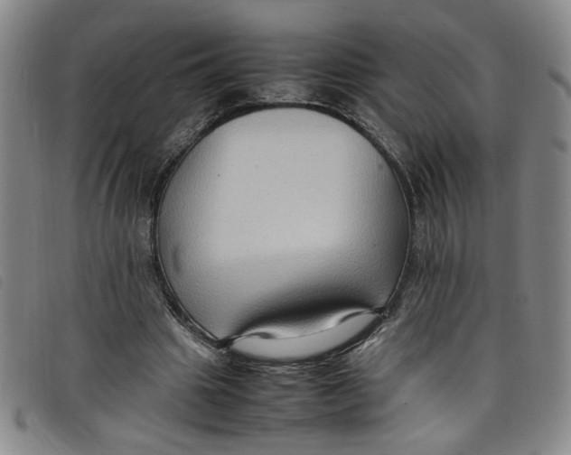 X0000097880441200804041617