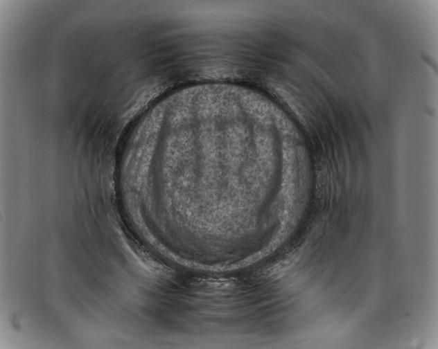 X0000097880443200804041617