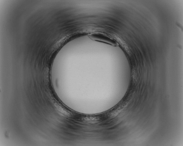 X0000097880445200804041617