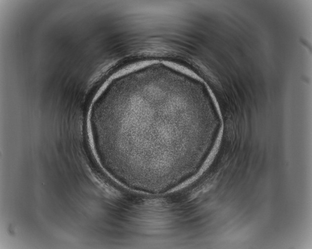 X0000097880446200804041617