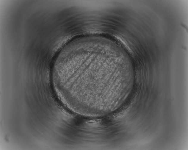 X0000097880447200804041617