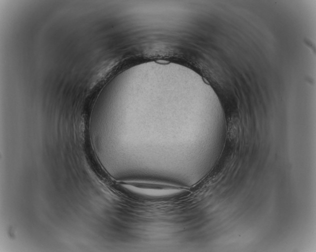 X0000097880448200804041617