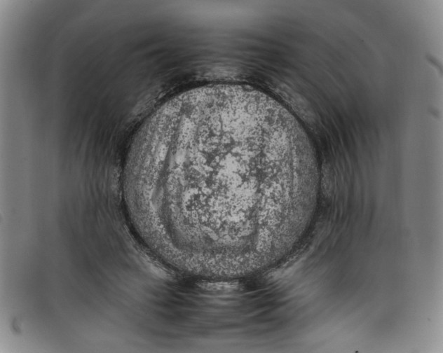 X0000097880449200804041617