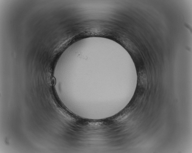 X0000097880450200804041617