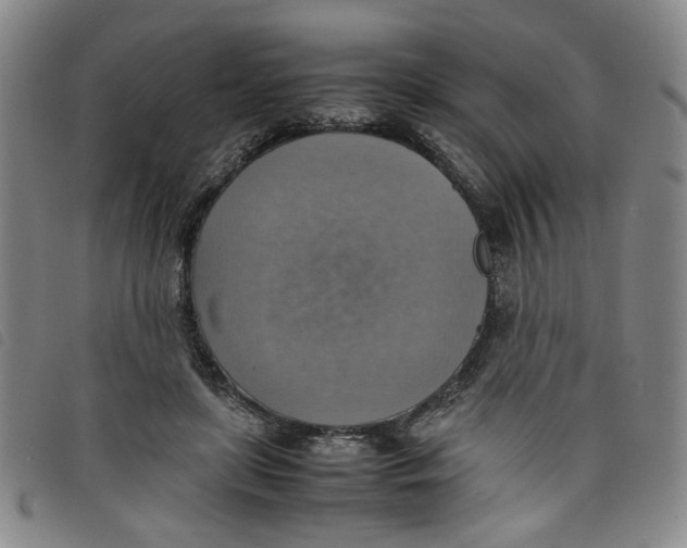 X0000097880451200804041617