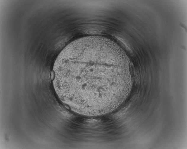 X0000097880453200804041617